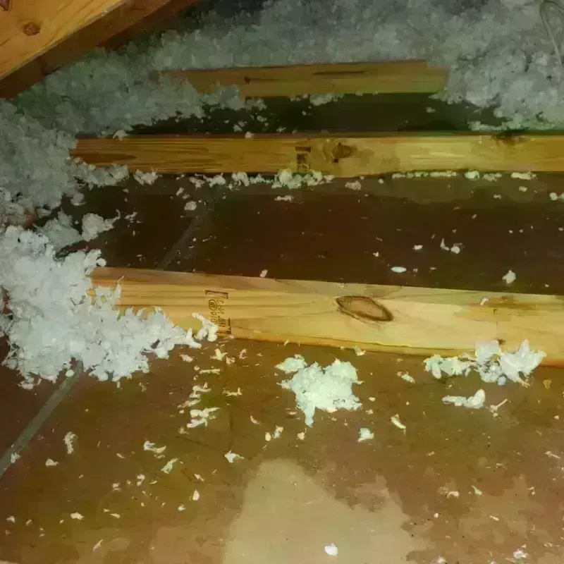 Attic Water Damage in Kenner, LA