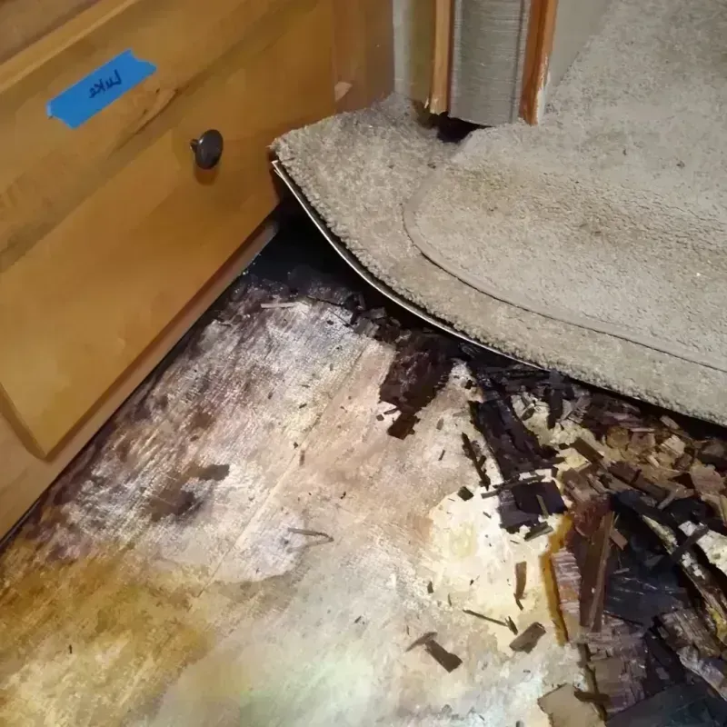 Wood Floor Water Damage in Kenner, LA